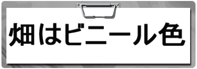 ���̓r�j�[���F