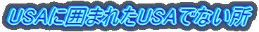 USA�Ɉ͂܂ꂽUSA�łȂ��� 