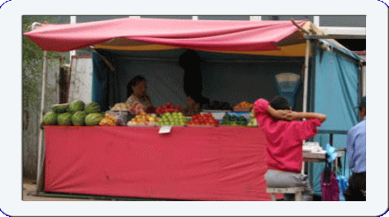 �t���[��