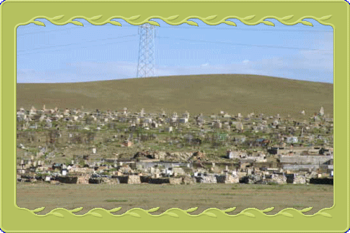 �t���[��