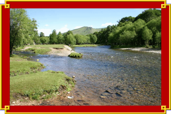 �t���[��